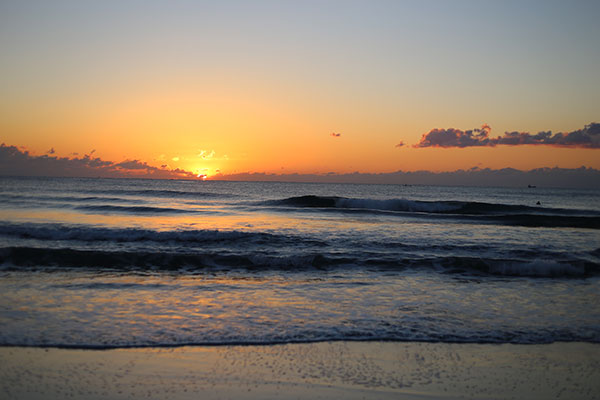 �����𑜓x�̃t���[�ʐ^�f�ނ��J��