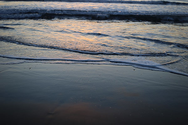 �����𑜓x�̃t���[�ʐ^�f�ނ��J��