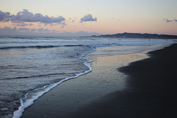 �����𑜓x�̃t���[�ʐ^�f�ނ��J��