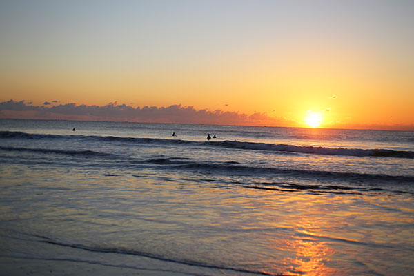 �����𑜓x�̃t���[�ʐ^�f�ނ��J��