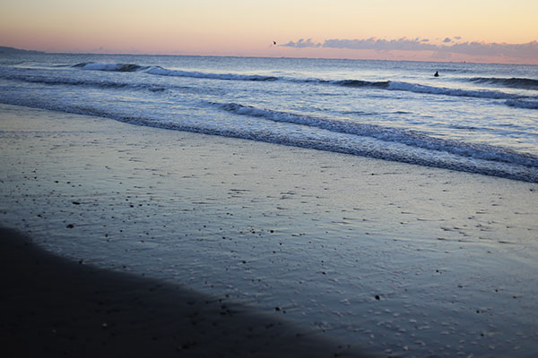 �����𑜓x�̃t���[�ʐ^�f�ނ��J��