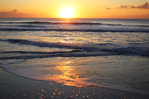 �����𑜓x�̃t���[�ʐ^�f�ނ��J��