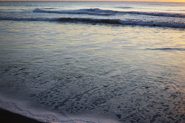 �����𑜓x�̃t���[�ʐ^�f�ނ��J��