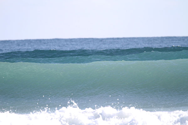 �����𑜓x�̃t���[�ʐ^�f�ނ��J��