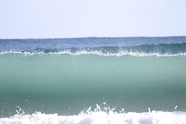 �����𑜓x�̃t���[�ʐ^�f�ނ��J��