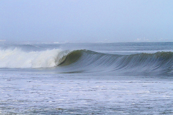 �����𑜓x�̃t���[�ʐ^�f�ނ��J��