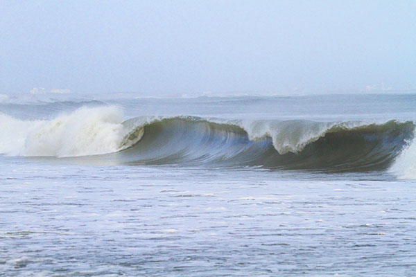 �����𑜓x�̃t���[�ʐ^�f�ނ��J��