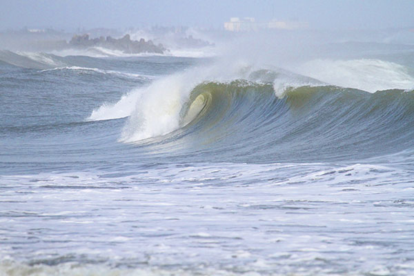 �����𑜓x�̃t���[�ʐ^�f�ނ��J��