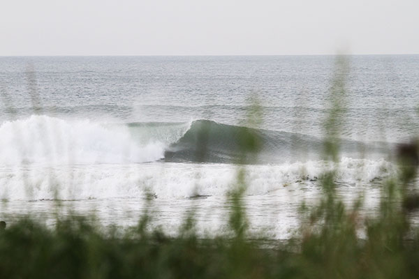 �����𑜓x�̃t���[�ʐ^�f�ނ��J��