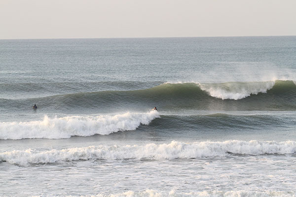 �����𑜓x�̃t���[�ʐ^�f�ނ��J��