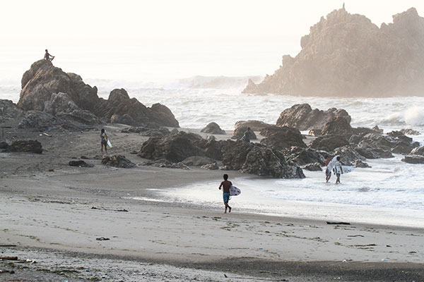 �����𑜓x�̃t���[�ʐ^�f�ނ��J��