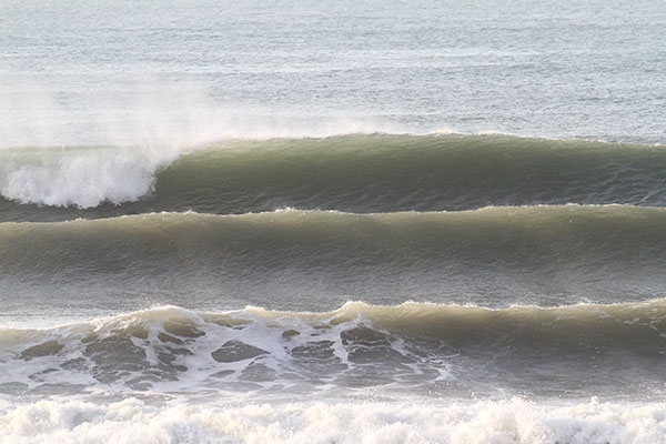 �����𑜓x�̃t���[�ʐ^�f�ނ��J��